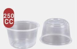 גביע 250CC כולל מכסה תואם 2000 יחידות. 0.31 אג' לגביע פלוס מכסה כולל מע"מ.